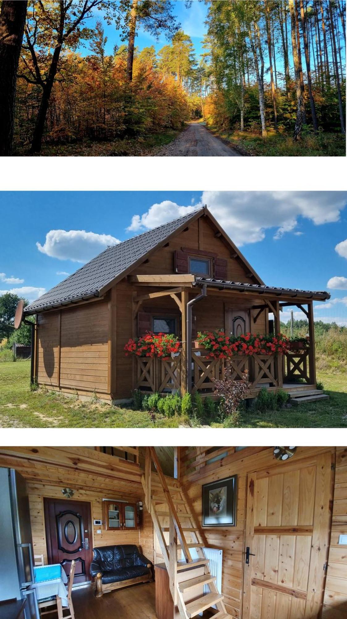 Domek Triftberg Chojna Kültér fotó